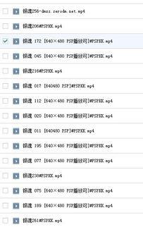 日本乱百度云盘,海量资源一网打尽