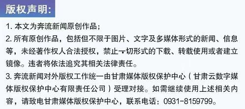 奔流新闻爆料视频大全在线观看,独家揭秘，精彩瞬间尽收眼底